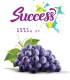 Success - Concentrato 30ml