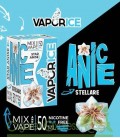 VAPORICE Anice - Mix Series 50ml - Vaporart