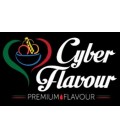 Cyber Flavour